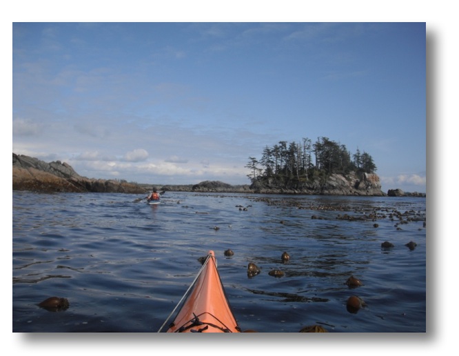 Kayaking in Bella Bella