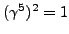 $(\gamma^5)^2 = 1$