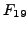 $F_{19}$
