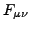$F_{\mu \nu }$