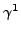 $\gamma^1$