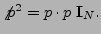 $\not{p}^2=p\cdot p\;{\bf I}_N.$