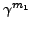 $\gamma^{m_1}$
