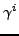 $\gamma^{i}$