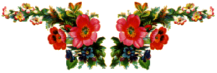 BLOEMEN