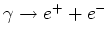 $\gamma \rightarrow e^++e^-$