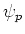$\psi_p$