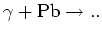 $\gamma + {\rm Pb} \rightarrow ..$