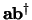${\bf ab}^\dagger$