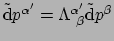 $ \tilde{\rm d} p^{\alpha^\prime} = \Lambda_{~\beta}^{\alpha^\prime} \tilde{\rm d}p^\beta$