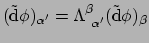 $ (\tilde {\rm d} \phi )_{\alpha^\prime} =
\Lambda_{~\alpha^\prime}^\beta (\tilde {\rm d}\phi )_\beta$