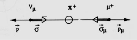 \includegraphics[width=10cm]{Figures/muon.eps}