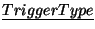 $\underline{Trigger Type}$