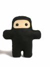 A real NINJA